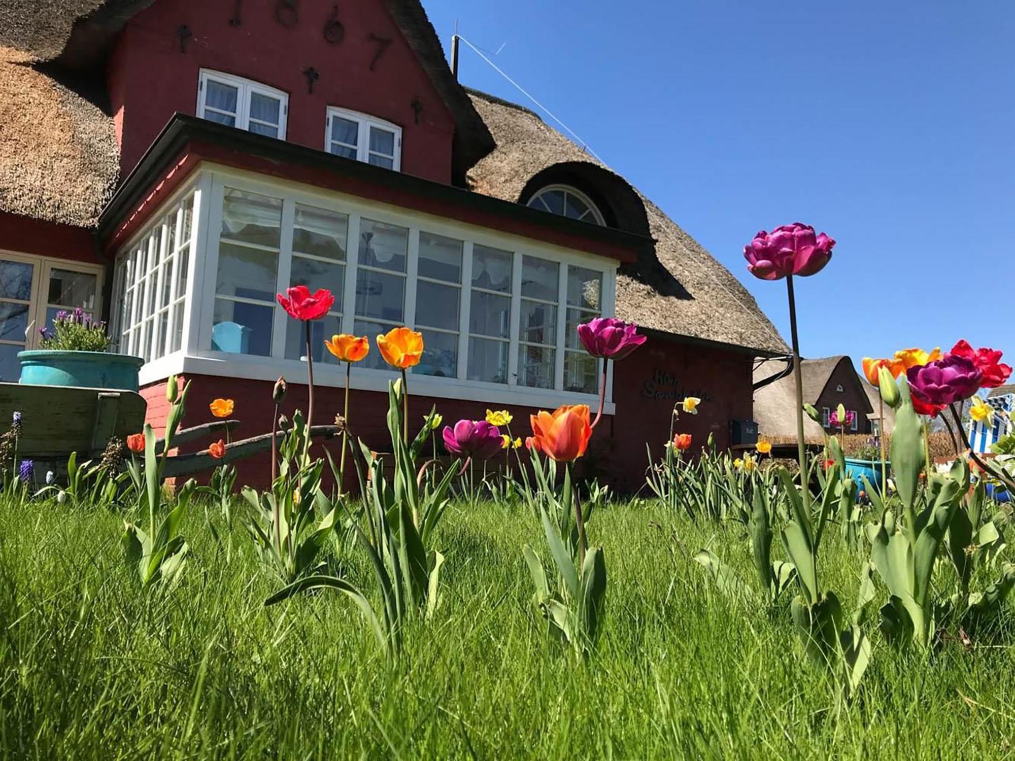 Hüs Sanskiin Ferienwohnung *Goodshenk* Suddorf Exterior foto